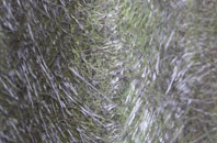 Montcliffe fibreglass roof work